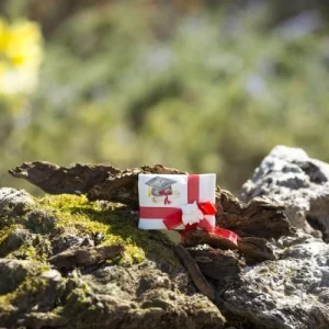 Prodotti biologici lavanda ad Ascoli